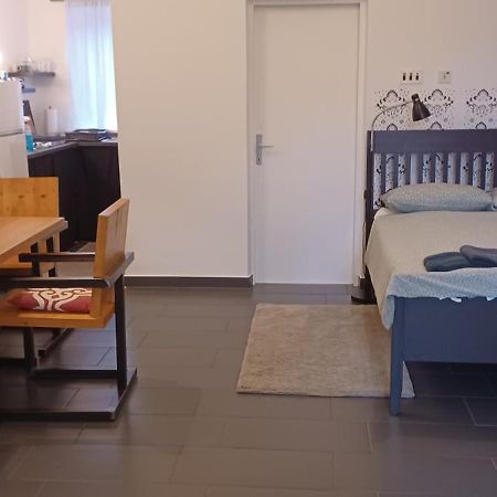 Studio Apartman Ada Samobor Bagian luar foto